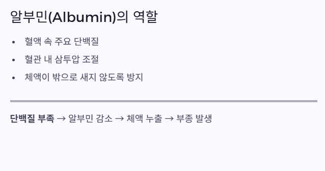 알부민역활