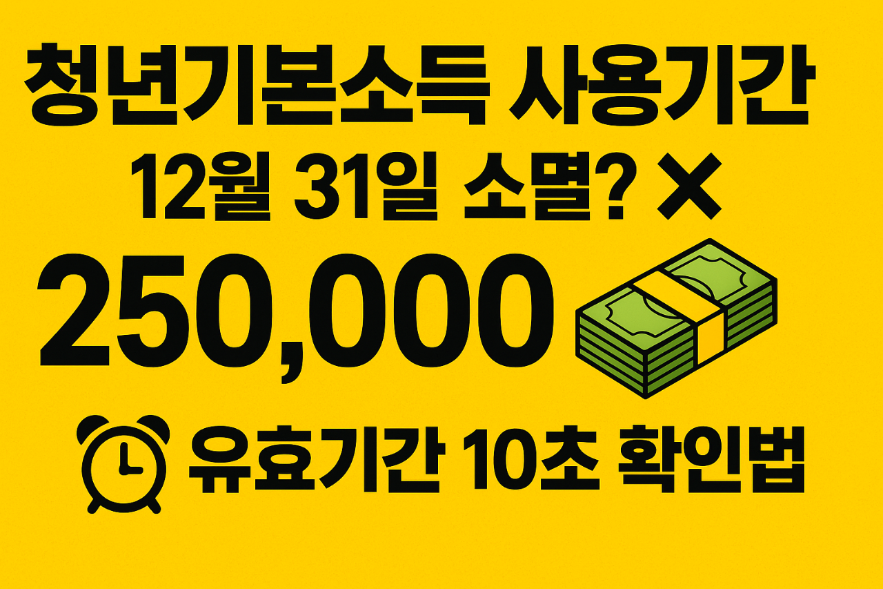 청년기본소득-사용기간-12월-31일-소멸?-X-250,000-유효기간-10초-확인법