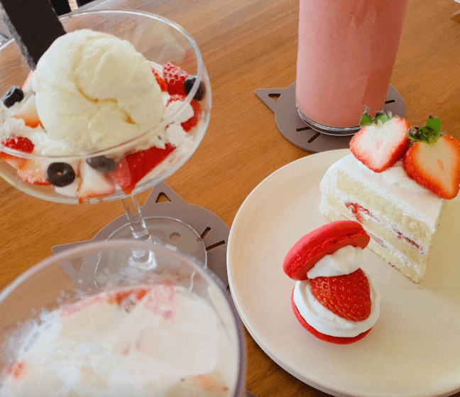 생방송투데이 딸기케이크 딸기디저트 용인 카페