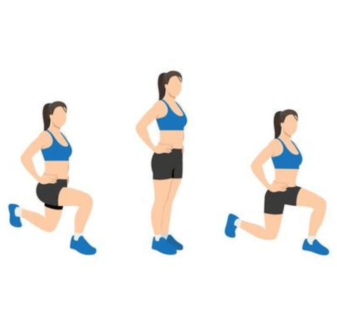 캣타워와 캣휠로 만드는 고양이 전용 운동 공간