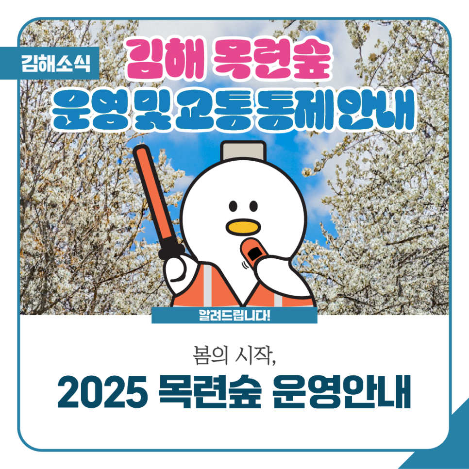 2025 흥동 목련숲 운영 및 교통통제안내