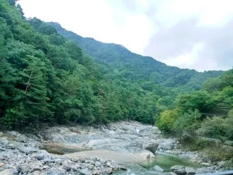 인제 가볼만한곳 베스트10 여행 코스 맛집_15