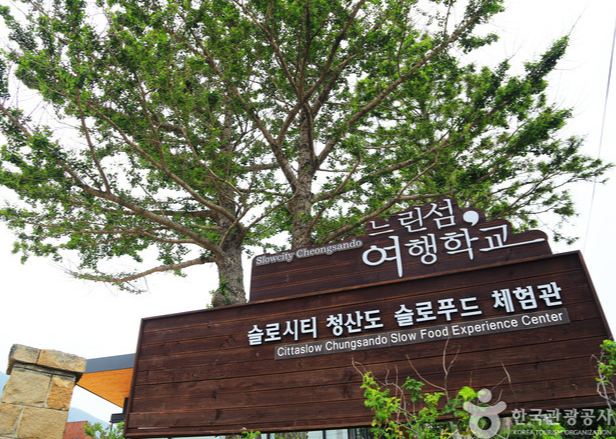 봄 여행지