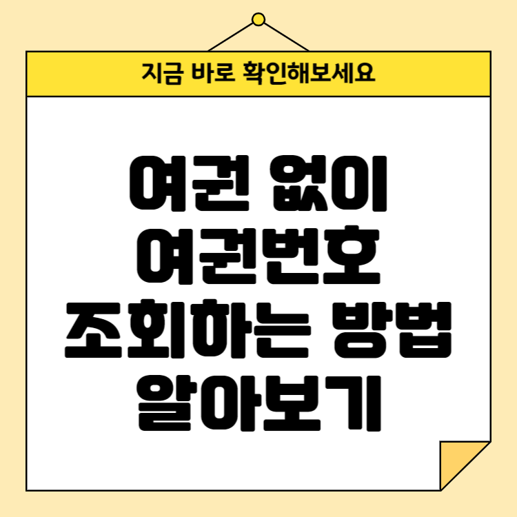 여권 없이 여권번호 조회하는 방법 알아보기