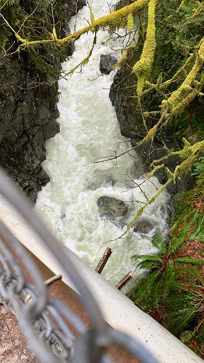 다리 밑 물이 흐르는 계곡