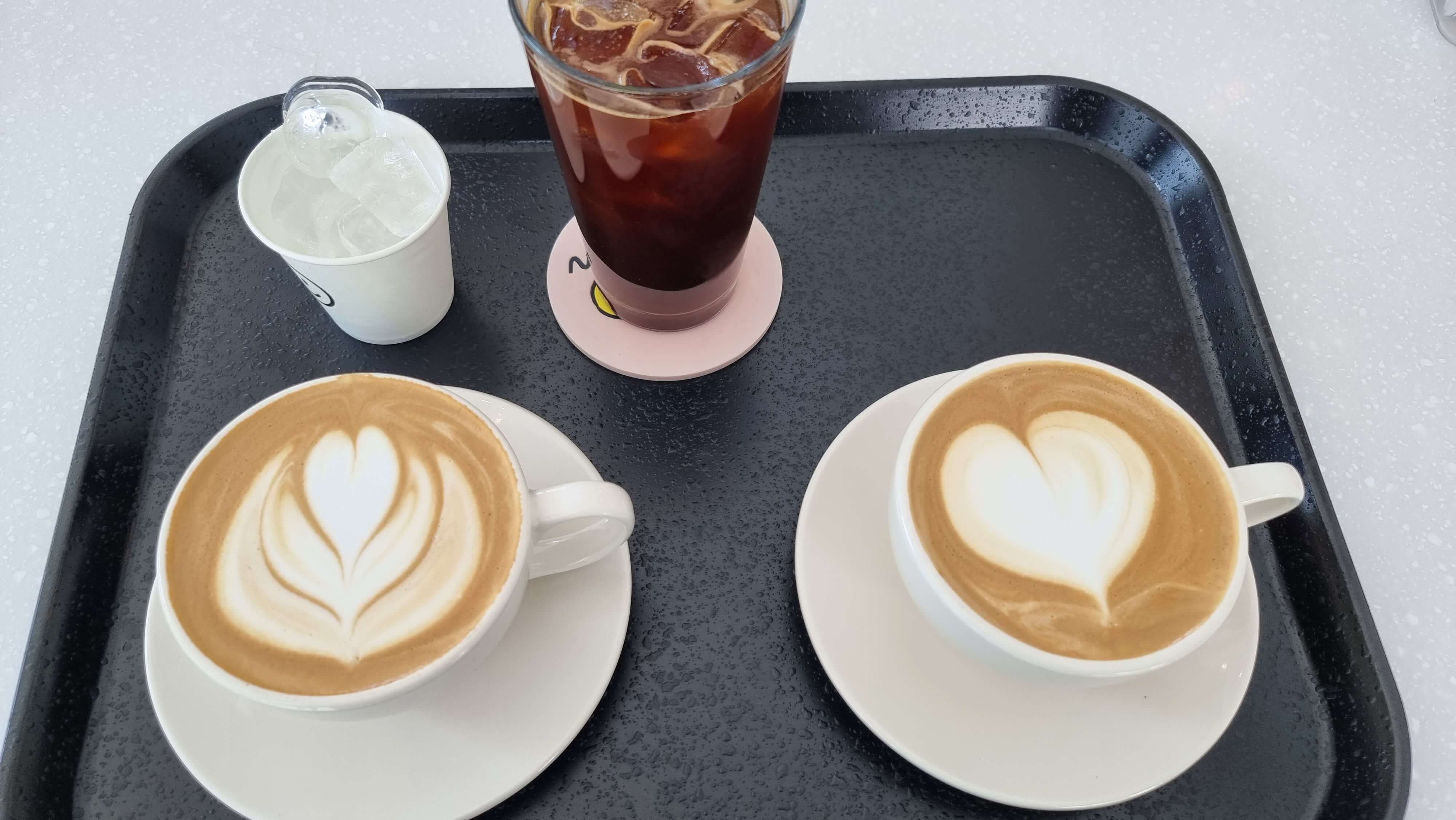 스티빈 음료 주문한 커피들