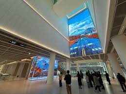 놀유니버스 에버랜드 정기권 365 스탠다드