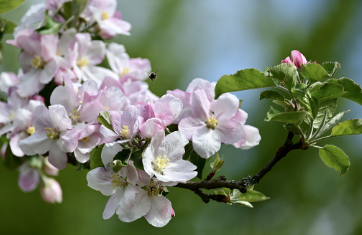 화담숲-예약하기