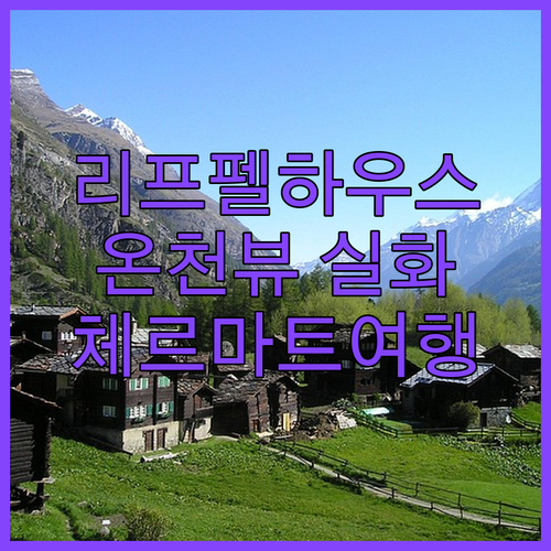 리프펠하우스 1853 완전 분석! 마