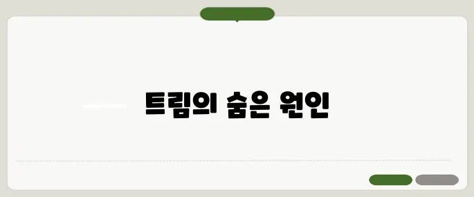 트림이 계속 나오는 이유 소화 문제 아닐 수도