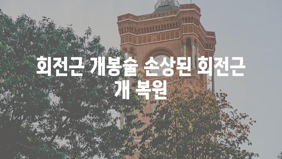 회전근 개봉술 손상된 회전근 개 복원