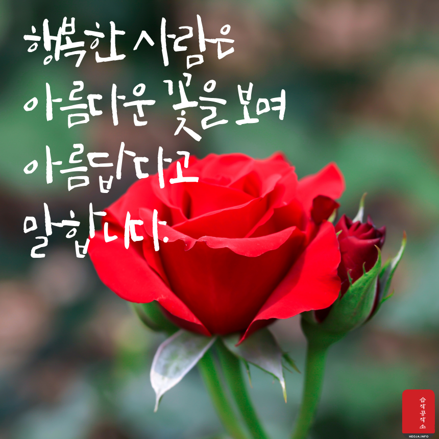 행복에 관한 짧고 좋은 글귀 명언 문구 모음