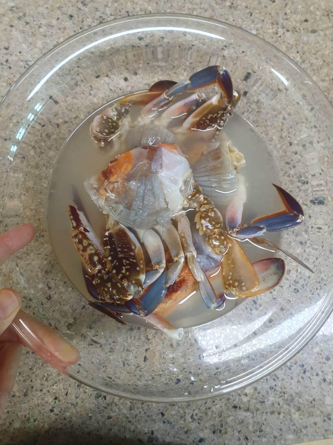 양념 꽃게 무침