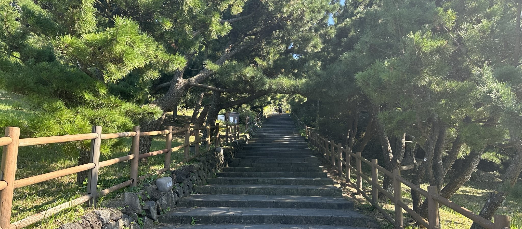 등반로