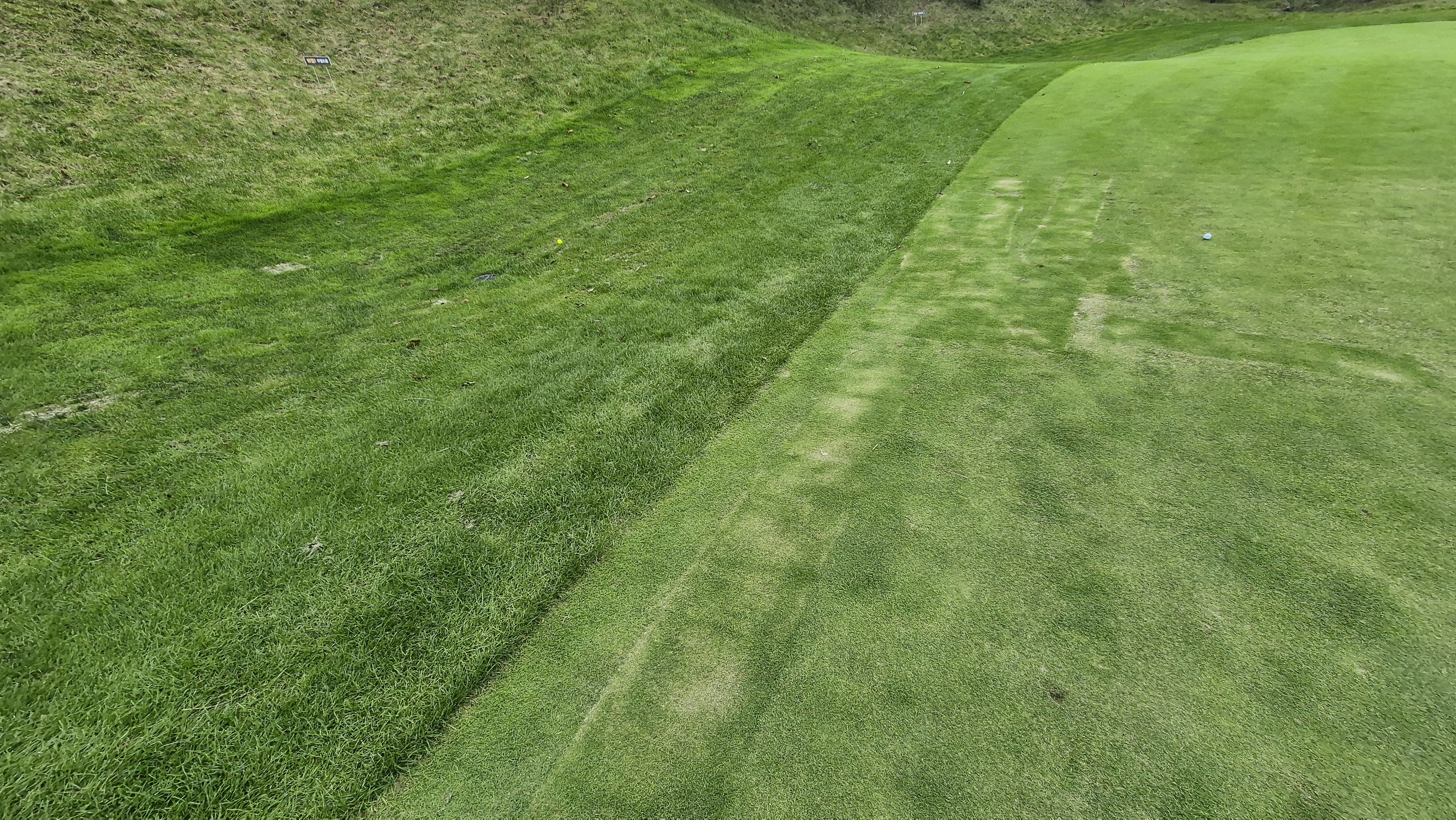 블랙스톤 벨포레cc 그린 관리 상태