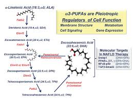 오메가3 복용 기준&amp;#44; 몸에 좋다고 무조건 먹으면 안 되는 이유
