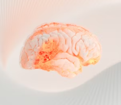 수면 부족이 우리 몸에 미치는 영향 경고 증상 치매