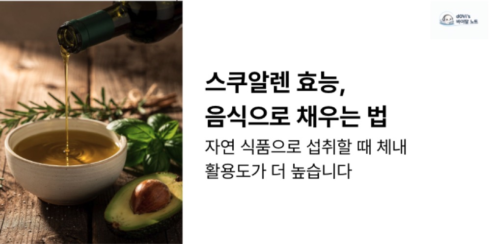 스쿠알렌 효능 대표이미지