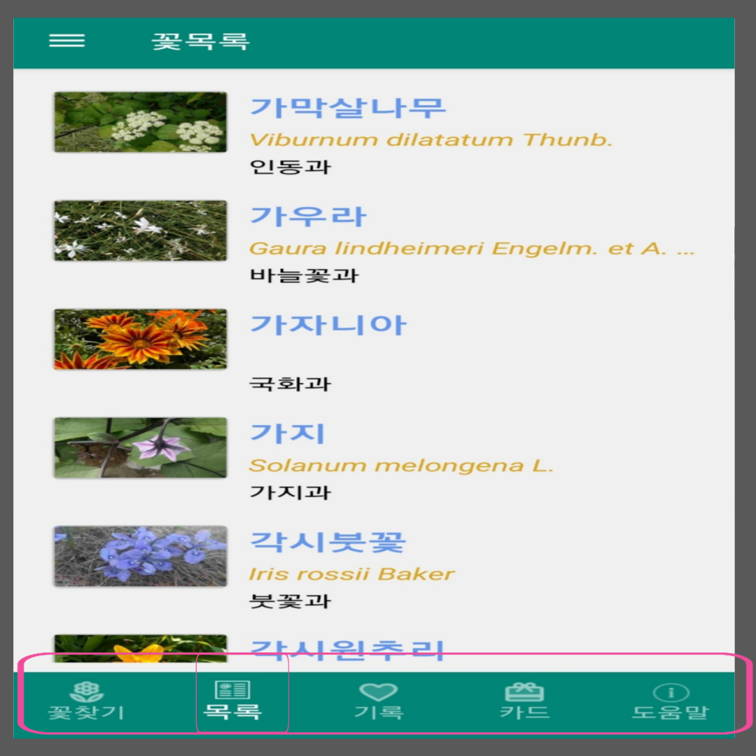꽃이름 찾기 앱