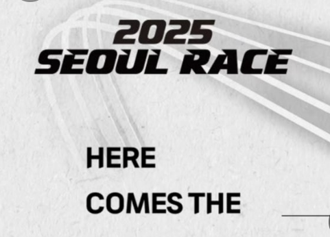 서울레이스 접수 방법&amp;#44; 하프코스 &amp; 11km 코스 완전 가이드