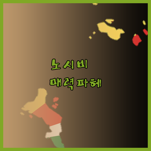 팜 비치 리조트 & 스파 노시 비🌴 