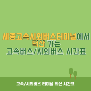 세종고속시외버스터미널에서 덕산 가는 고속버스_시외버스&nbsp;시간표