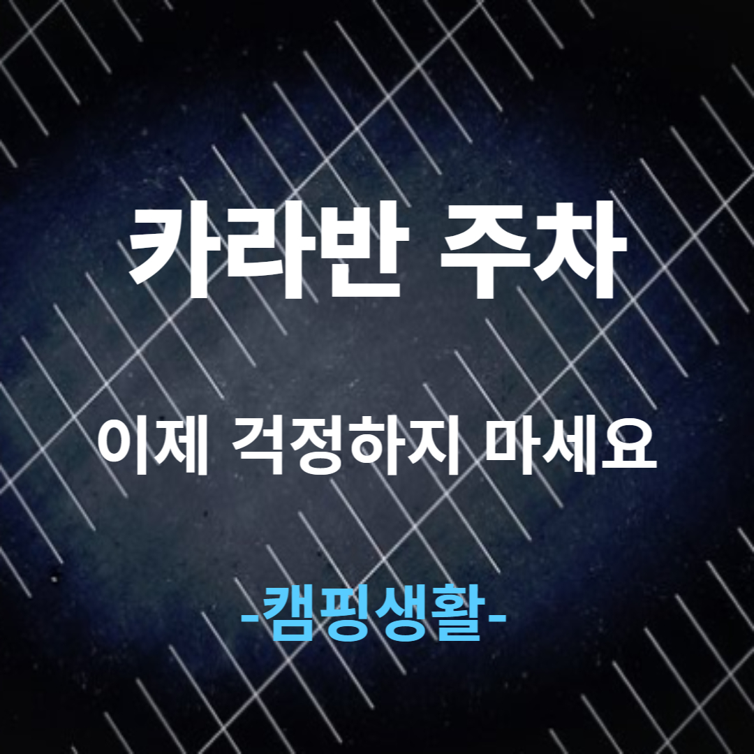 카라반주차