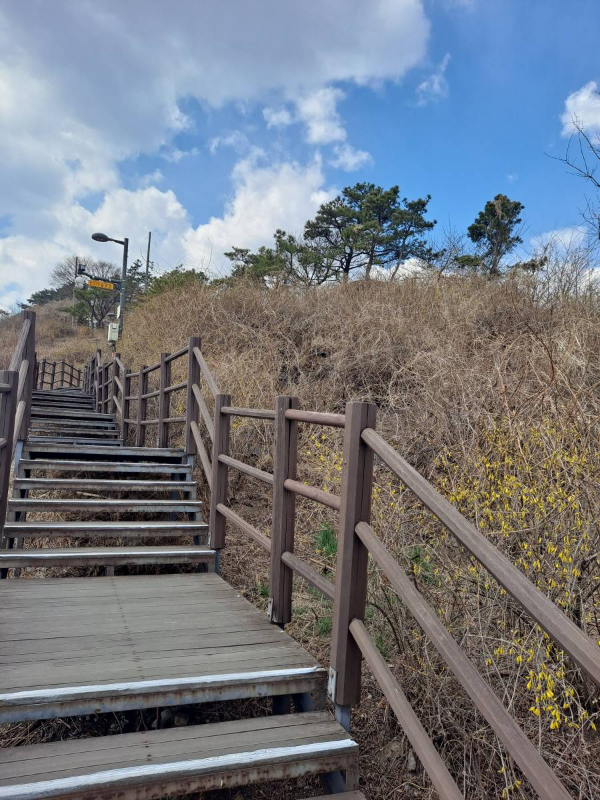 응봉산 정상 가는길