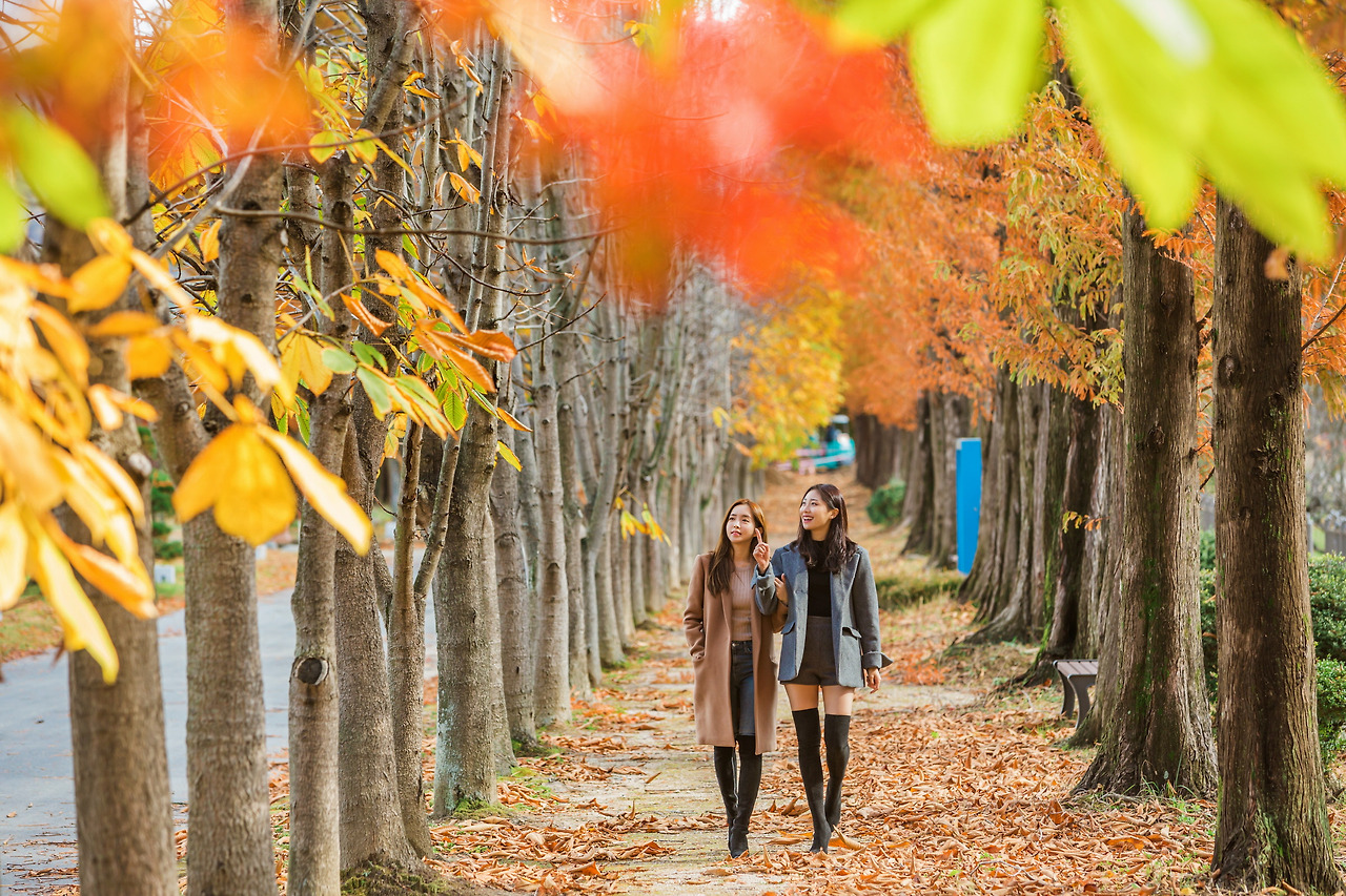 경주 핫플레이스 3일 완벽 코스