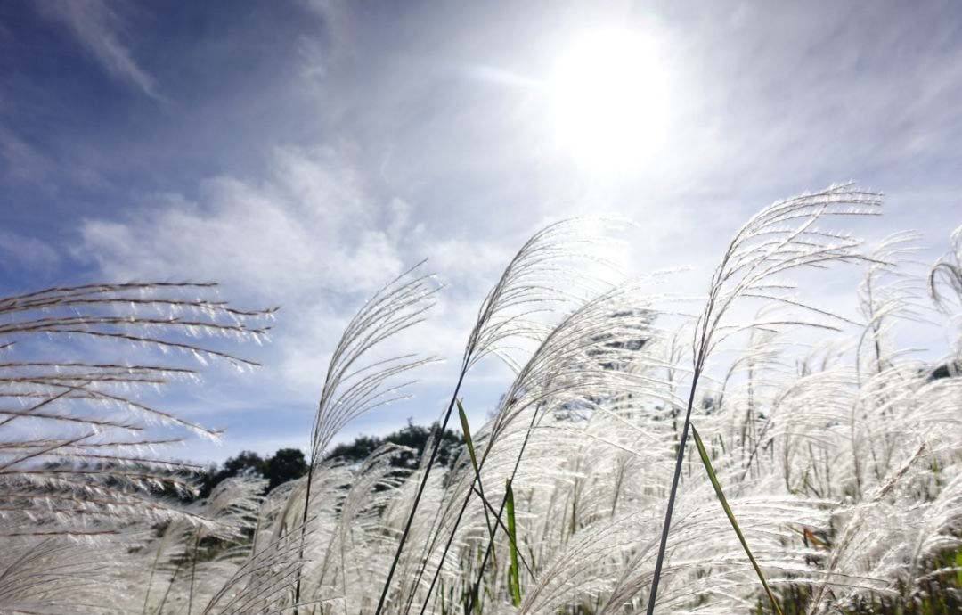 Alt 속성 문제 해결 설명 이미지