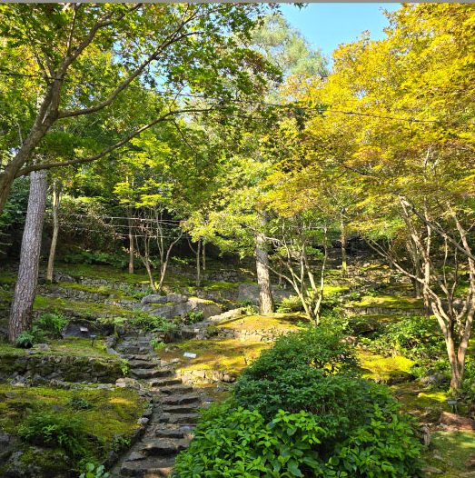 화담숲 모노레일 예약 예매