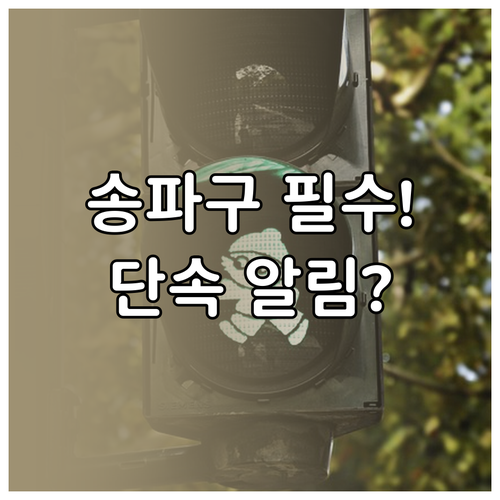 송파구 운전자 필수 단속 알림 문자 ..