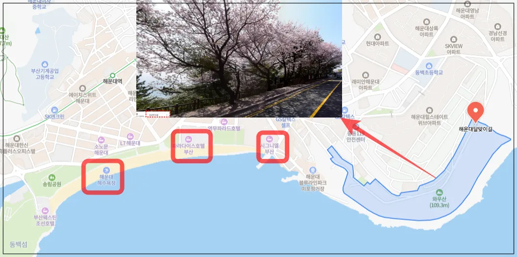 해운대-달맞이길-벚꽃
