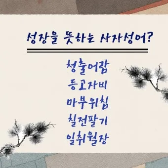 사자성어 모음 고사성어 눈 설_21