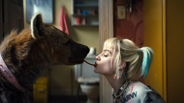 버즈-오브-프레이-할리퀸의-마고-로비