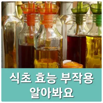 식초 복용법 정리 위장에 미치는 영향 총정리_25