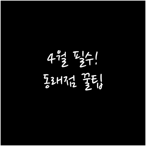 2026년 4월 롯데마트 동래점 이용..