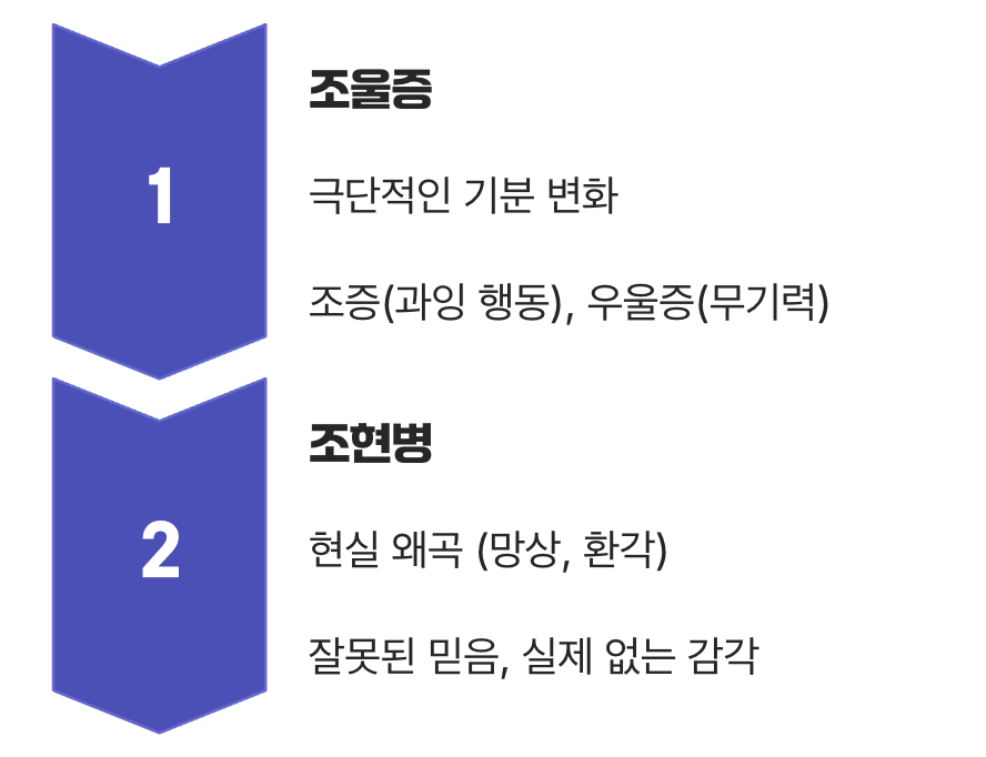 결정적 차이 1: '감정의 롤러코스터' vs '망상과 환각'