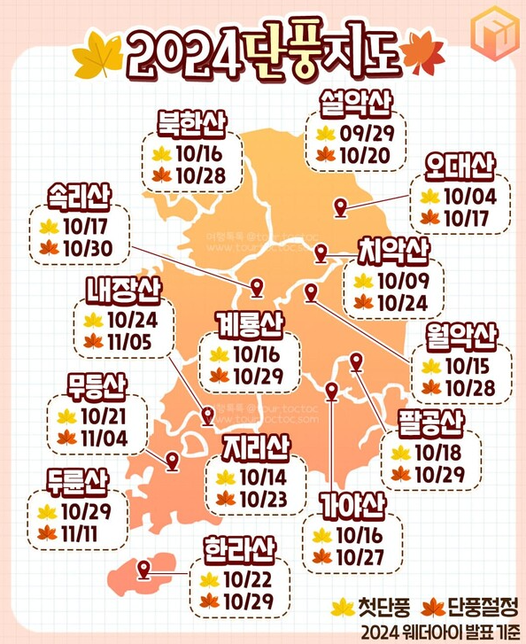 2024년 단풍