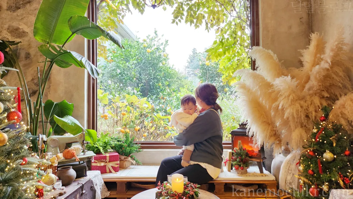 제주도여행-귤꽃다락카페