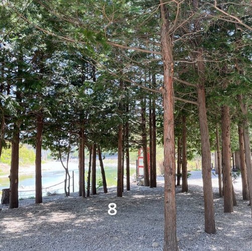 경호강_캠핑장_사이트_A8