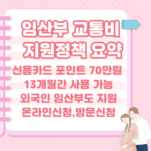 서울시 임산부 교통비 지원정책 요약