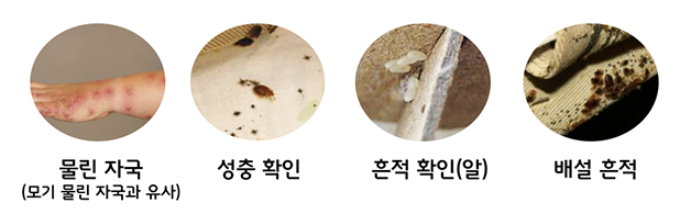 빈대 체크리스트
