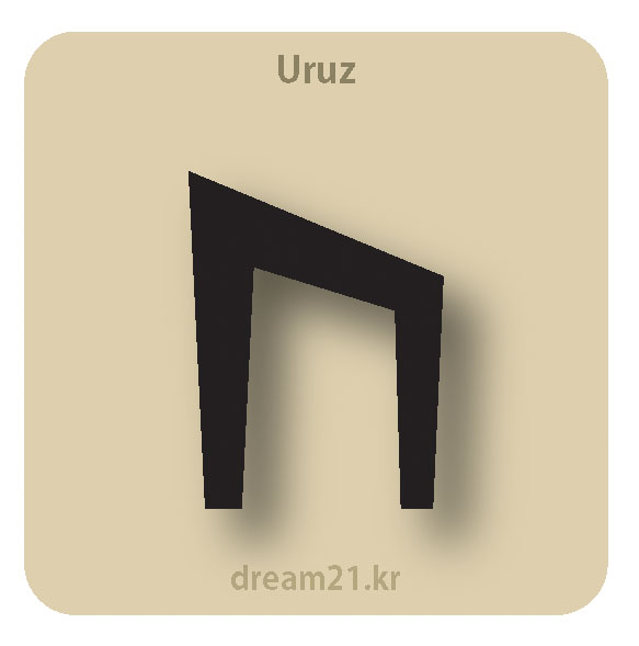룬 2. Uruz/ by Dream21