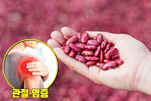 만성 염증 치료에 좋은 음식, 붉은 강낭콩 효능
