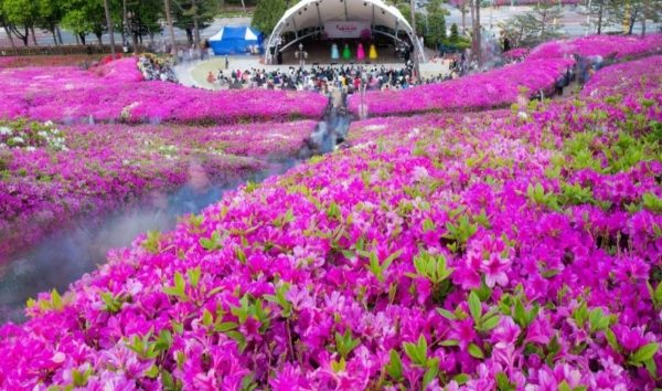 군포철쭉축제 2024