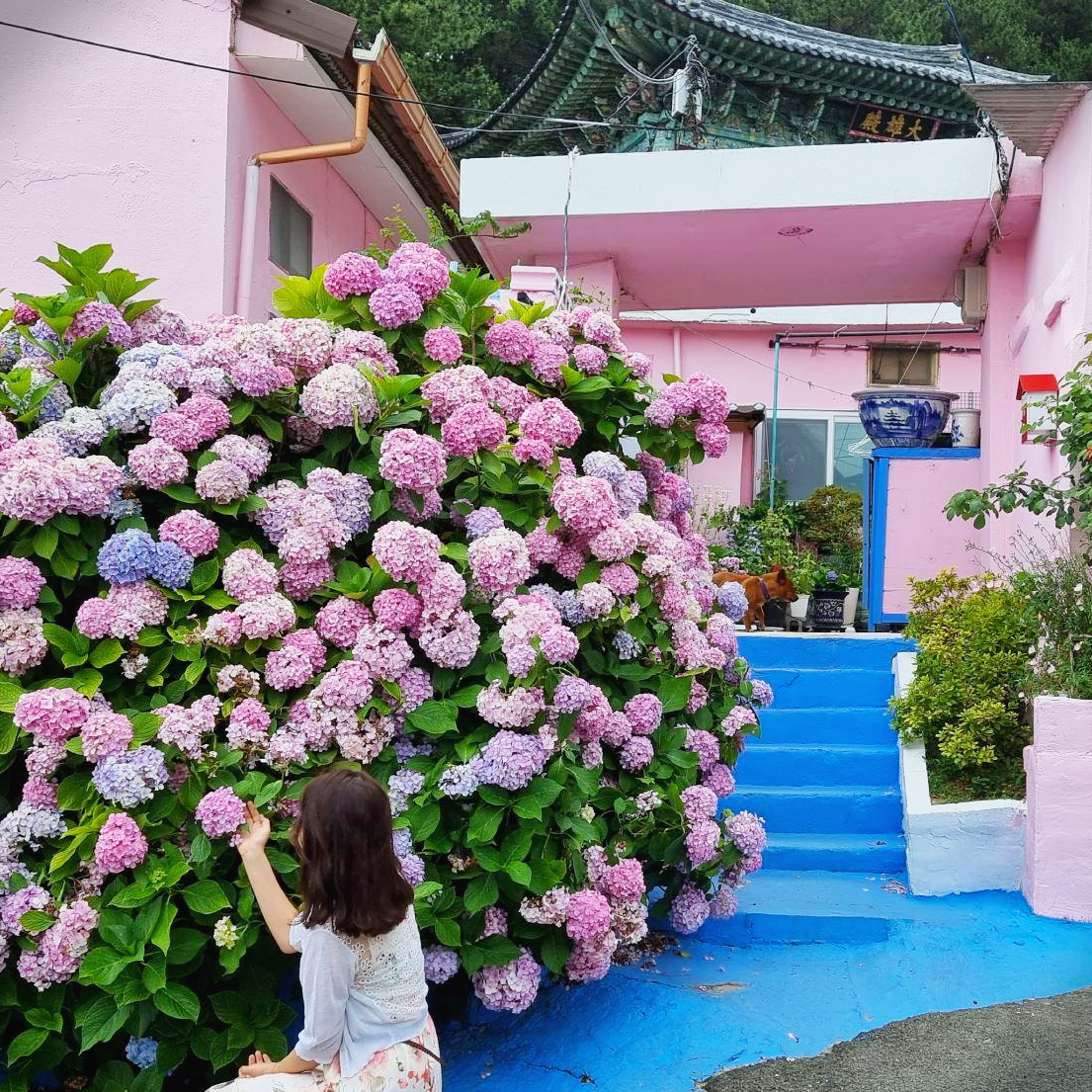 부산영도분홍집