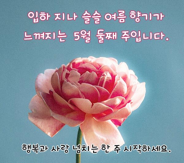 5월 인사말 문자