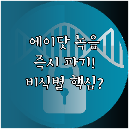 SKT 에이닷 통화 녹음 즉시 파기 ..
