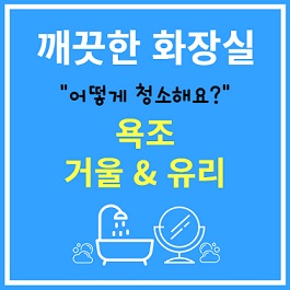 화장실 욕조와 거울 청소법